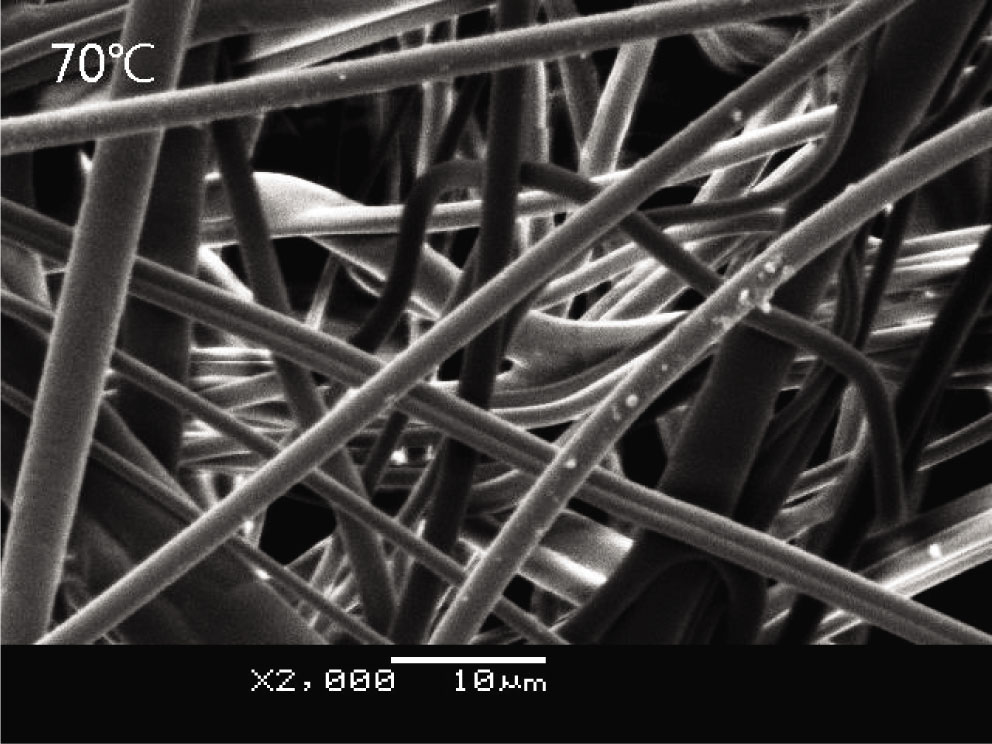 Figure 7 SEM of the sample charged at 70°C.