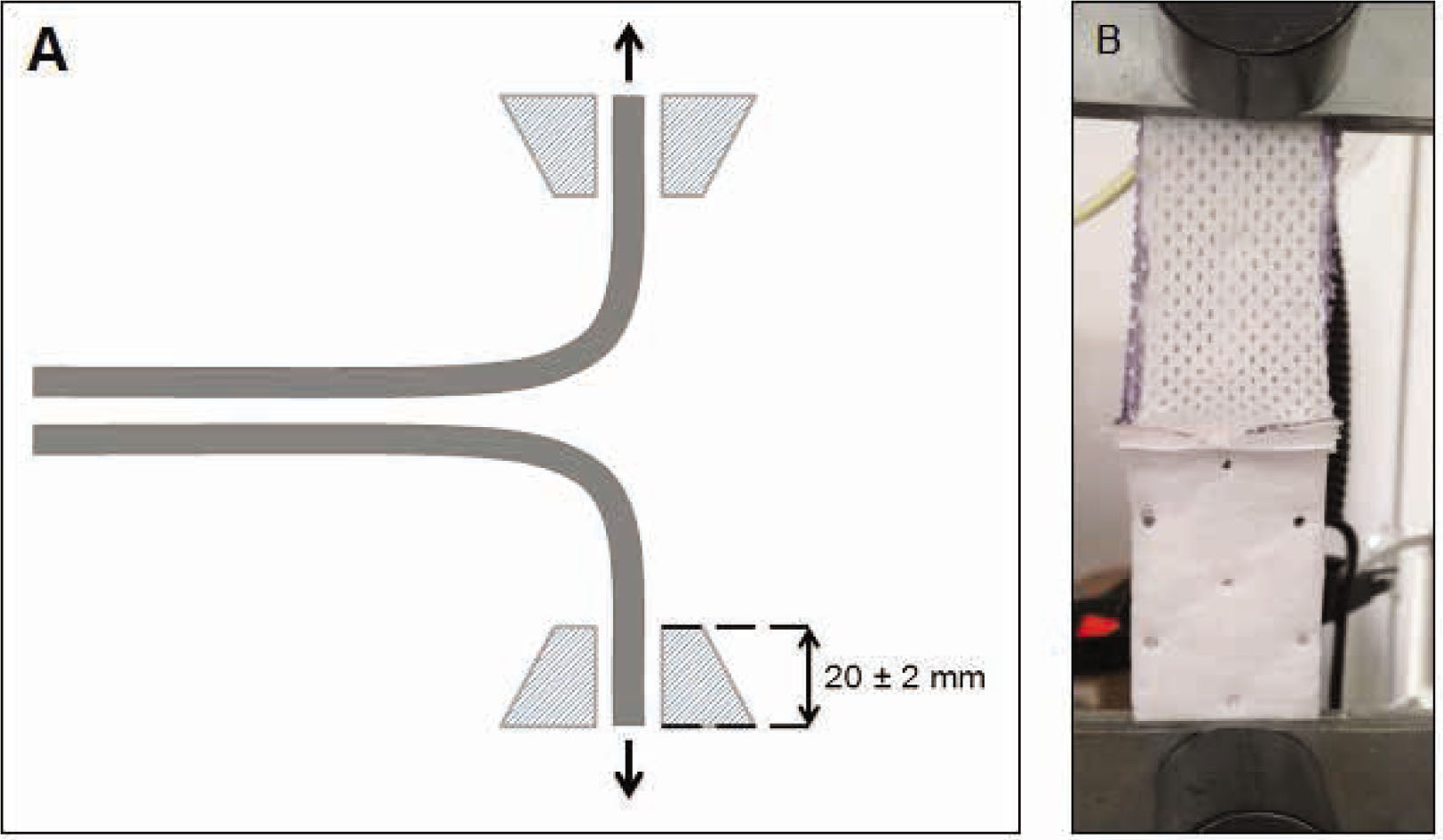 Figure 3 Insole sample mounted in the clamps of a universal testing machine. (A) diagram and (B) actual view.