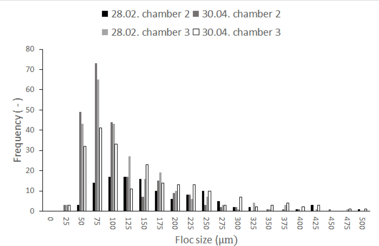 Figure 6 Size distribution of flocs.