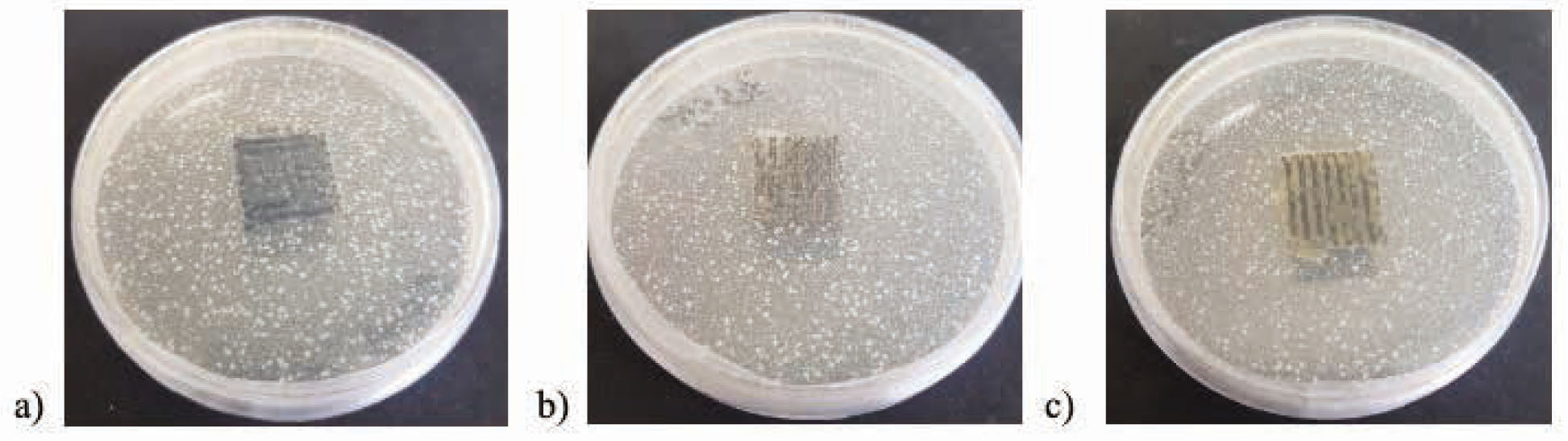Figure 1 Growth of Gram-negative E. coli bacteria on the surface of untreated knits from (a) 100% woollen, (b) blended 50% woollen/50% acrylic, and (c) 100% acrylic yarns).