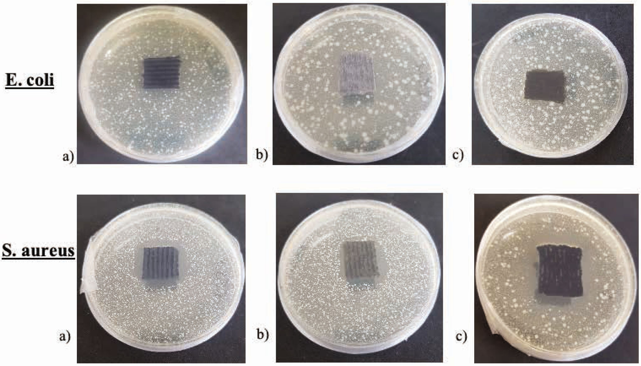 Figure 3 Growth of Gram-negative E. coli and Gram-positive S. aureus bacteria on the surface of knits after 5 washing cycles from (a) 100% woollen, (b) blended 50% woollen/50% acrylic, and (c) 100% acrylic yarns.