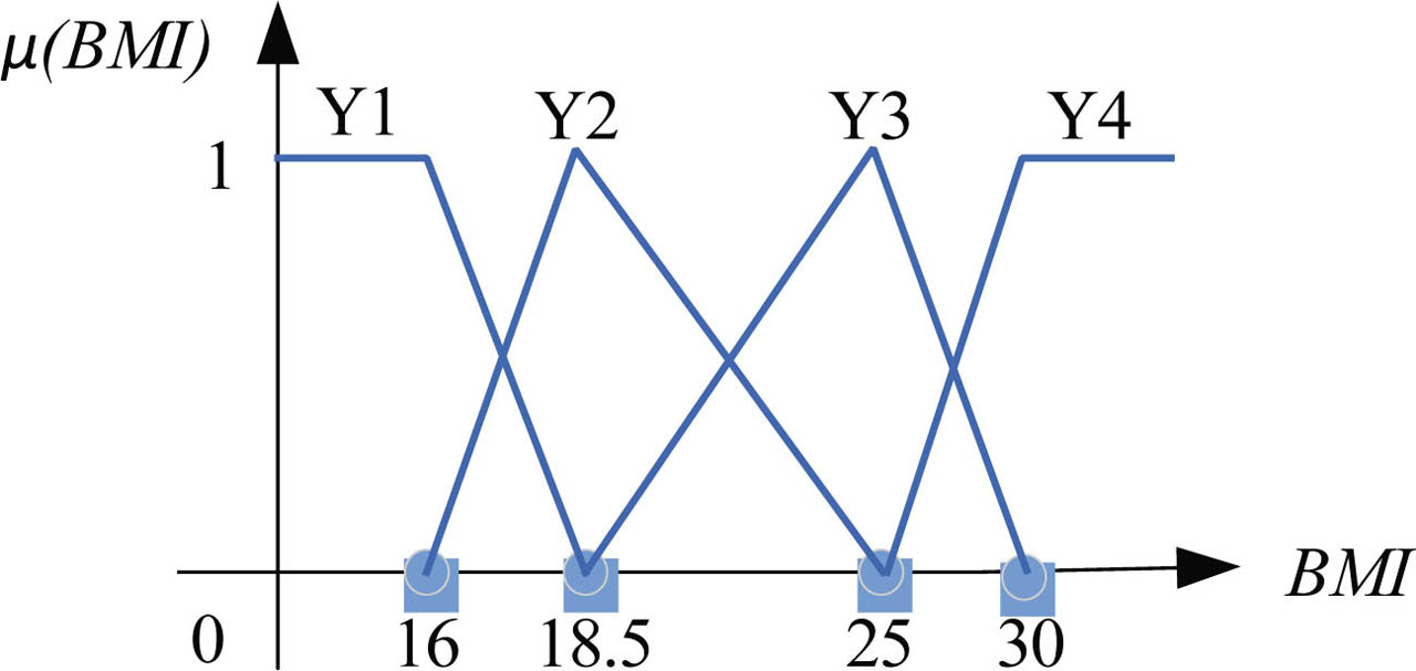 Figure 4 Fuzzy membership functions of (fat–thin).