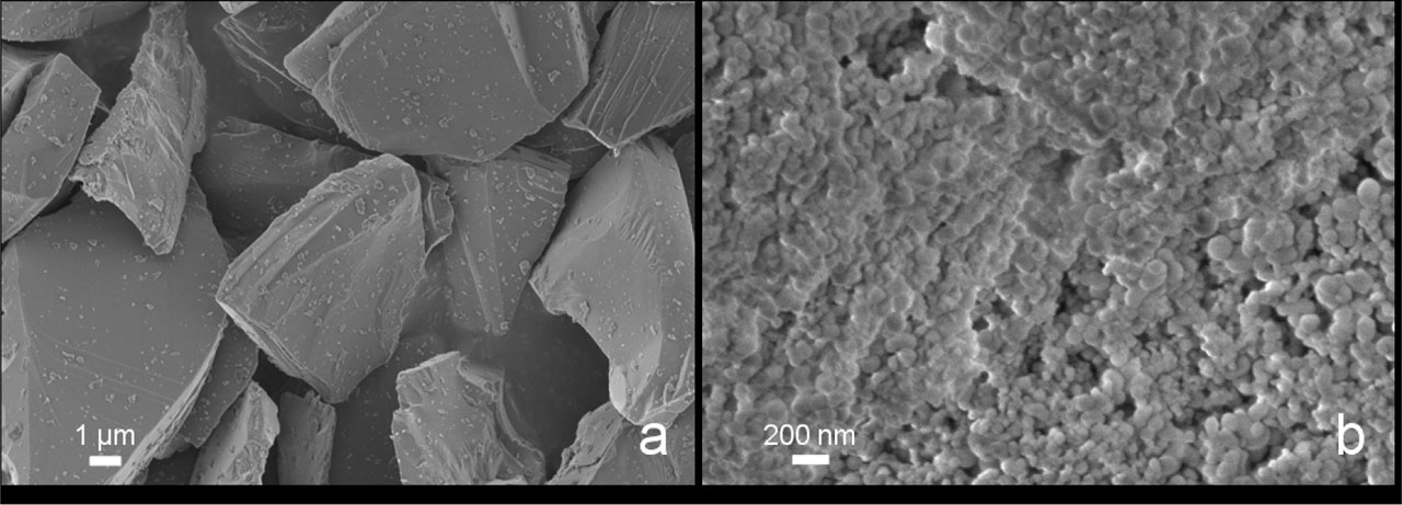Figure 1 SEM image of SiC abrasive particles (a) and SiO2 filler nanoparticles (b). SEM, scanning electron microscope.