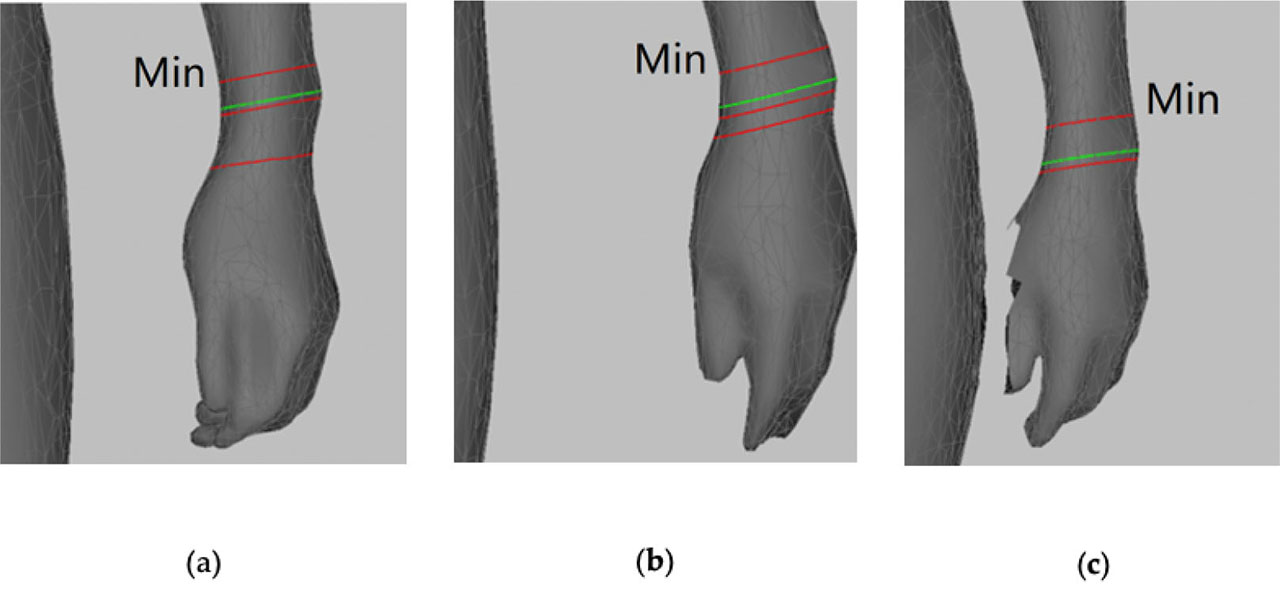 Figure 4. Different cases of the wrist position defined by the curve on the forearm, which has minimal circumference.