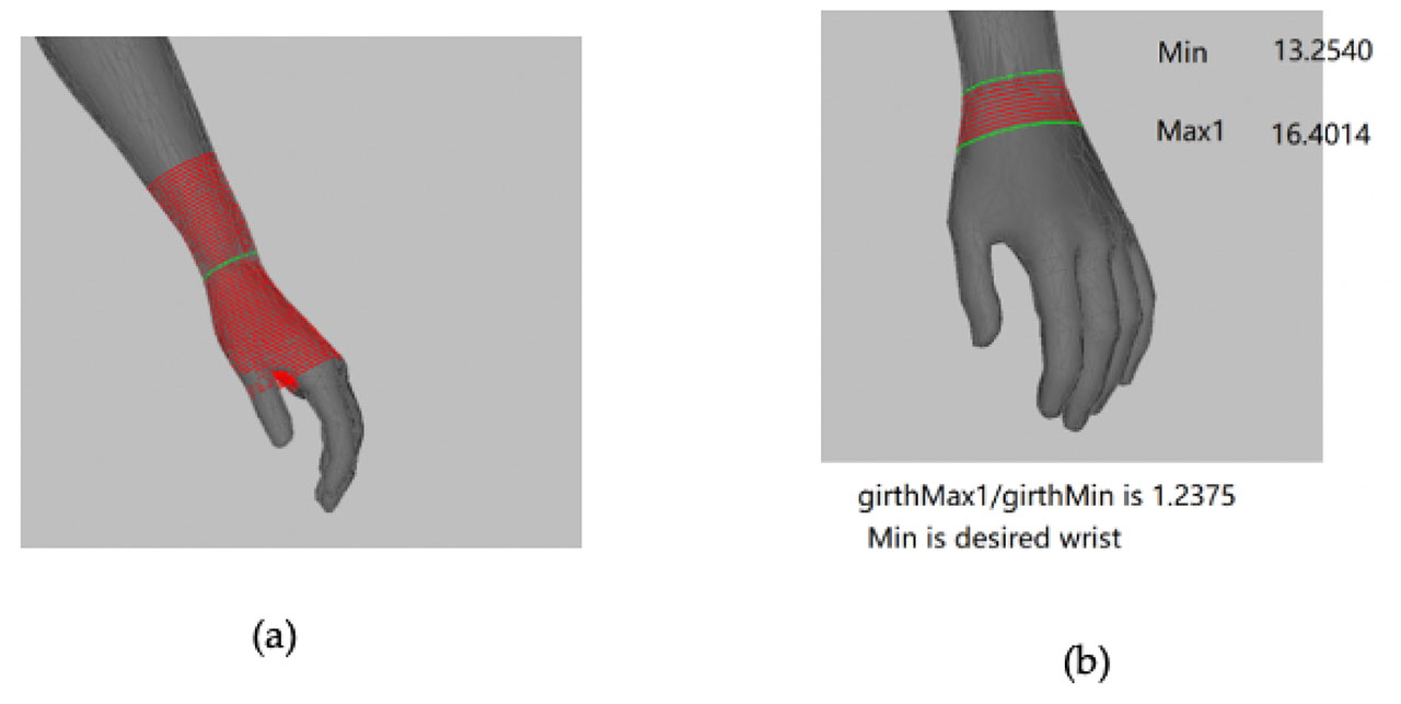 Figure 9. Definition of Area1 and Max1 of Case I.