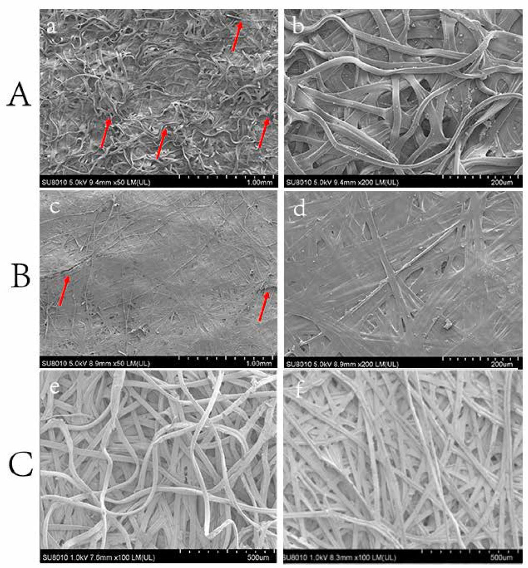 Figure 2. SEM images of sericin cocoons and B. cocoons. A. SEM images of outer surface of a sericin cocoon (a-50×, b-200×) B. SEM images of inner surface of sericin cocoon (c-50×, d-200×) C. SEM images of the outer and inner layers of a B. cocoon (e-outer surface,100×, f-inner surface,100×)