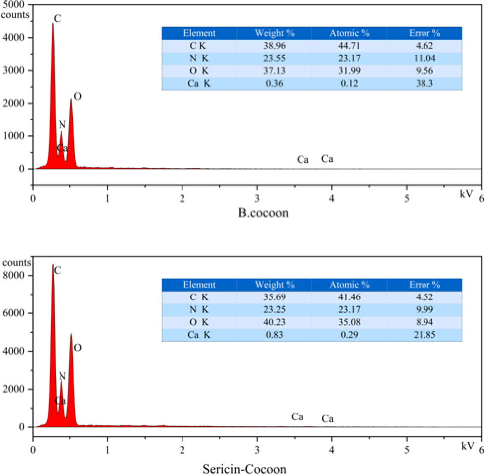 Figure 3. EDX energy spectrum diagram of a sericin cocoon and a B. cocoon