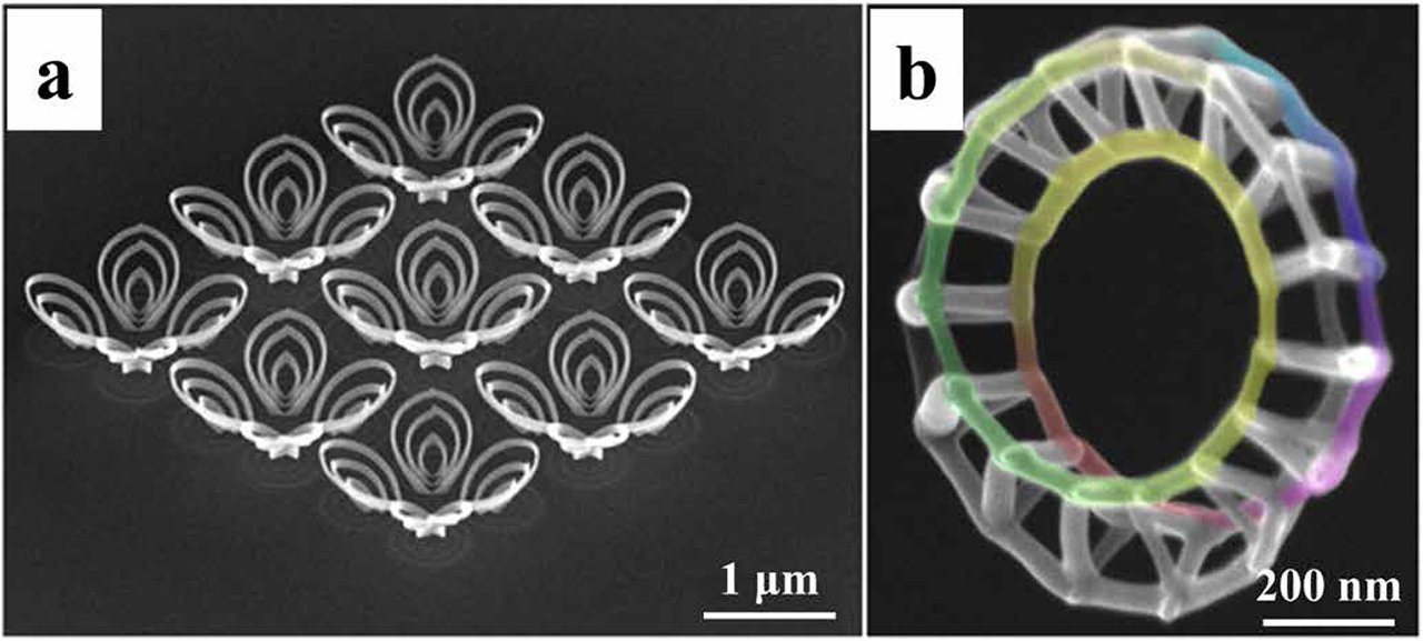 Figure 11. 3D nanoscale structures fabricated by FEBID. (a) “Calla lily flower petals,” an array of identical concentric bows; (b) Moebius strip with triangular cross section and individual wire dimensions around 25 nm (Reproduced from [45]. CC BY 4.0.).
