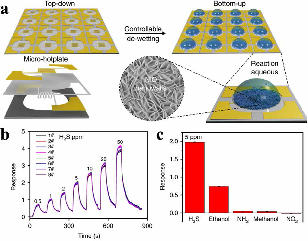 Figure 17. (a) Schematic of fabricating wafer-scale miniaturized gas sensors; (b) dynamic response of eight gas sensors to different H2S concentrations; (c) response of eight gas sensors toward different gases; the concentration is 5 ppm (Reproduced from [84]. CC BY 4.0.).