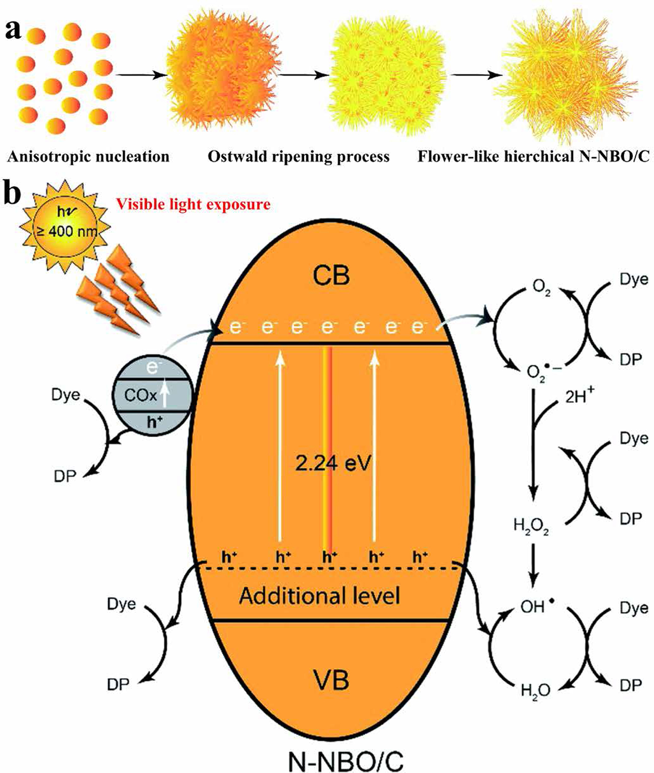 Figure 18. (a) Schematic for the formation of the flower-like hierarchical N–NBO/C nanostructures; (b) mechanism for photodegradation of Rhodamine B by N–NBO/C upon visible-light illumination (Reproduced from [85]. CC BY 4.0.).