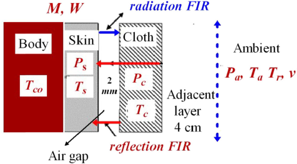 Figure 4. Heat flows in the system human-clothing surroundings