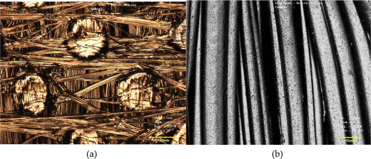 Figure 7. (a) Surface and (b) longitudinal view of copper-coated Milife.