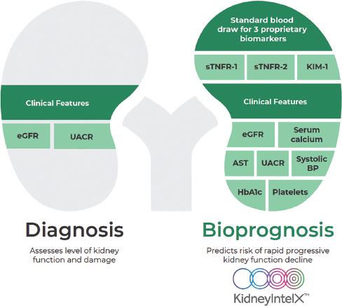 Figure 1. 
KidneyIntelX is a bioprognostic test for kidney outcomes in DKD. BP, blood pressure; DKD, diabetic kidney disease; eGFR, estimated glomerular filtration rate; sTNFR, soluble tumor necrosis factor receptors; UACR, urinary albumin/creatinine ratio.
