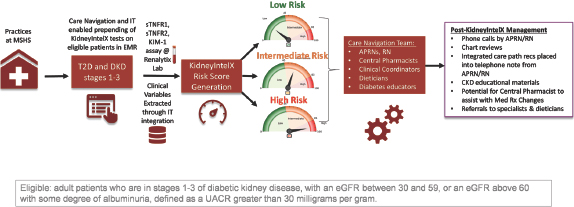 Figure 3. 
Design of real-world evidence study at Mount Sinai. CKD, chronic kidney disease; DKD, diabetic kidney disease; eGFR, estimated glomerular filtration rate; KIM-1, kidney injury molecule-1; UACR, urinary albumin/creatinine ratio; EMR, electronic medical record; T2D, Type 2 diabetes; MSHS, Mount Sinai Health System; APRNs, advanced practice registered nurses; RN, registered nurse.
