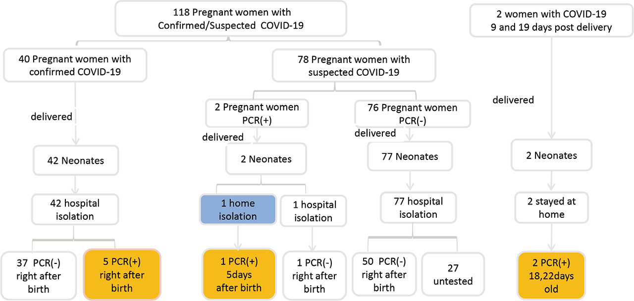 Fig. 1 Management of neonates born to pregnant women with confirmed/suspected COVID-19