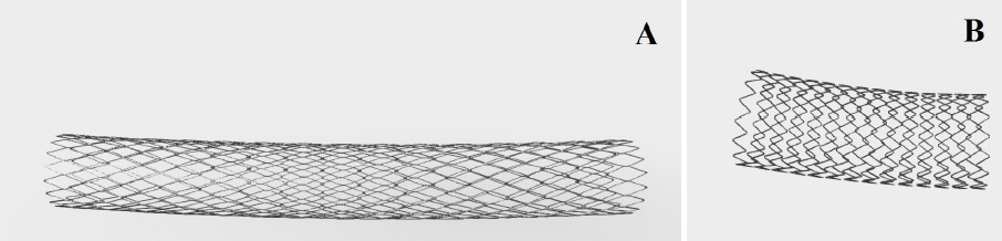 Figure 2 3D reconstruction of stents used in the CDF analysis. A: Palmaz genesis peripheral stent; B: Cook-Zilver vascular self-expanding stent.