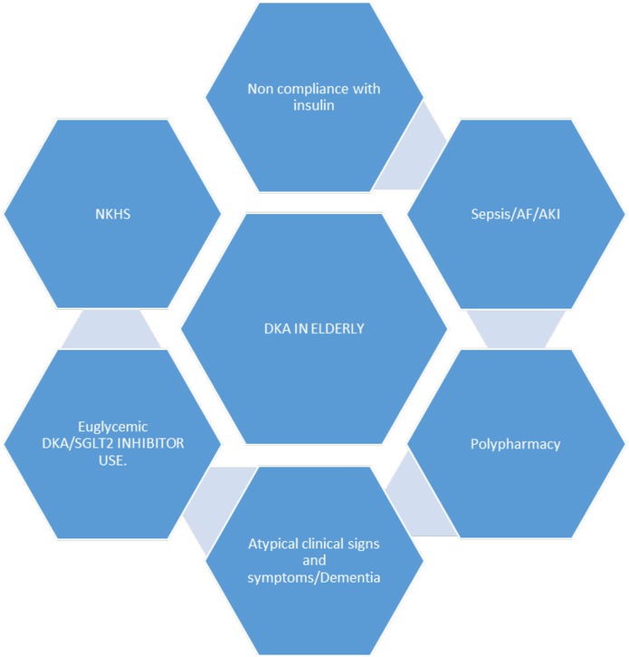 Figure 1 Clinical conundrums in the management of DKA in elderly patients. DKA: diabetic ketoacidosis; AF: atrial fibrillation; AKI: acute kidney injury.
