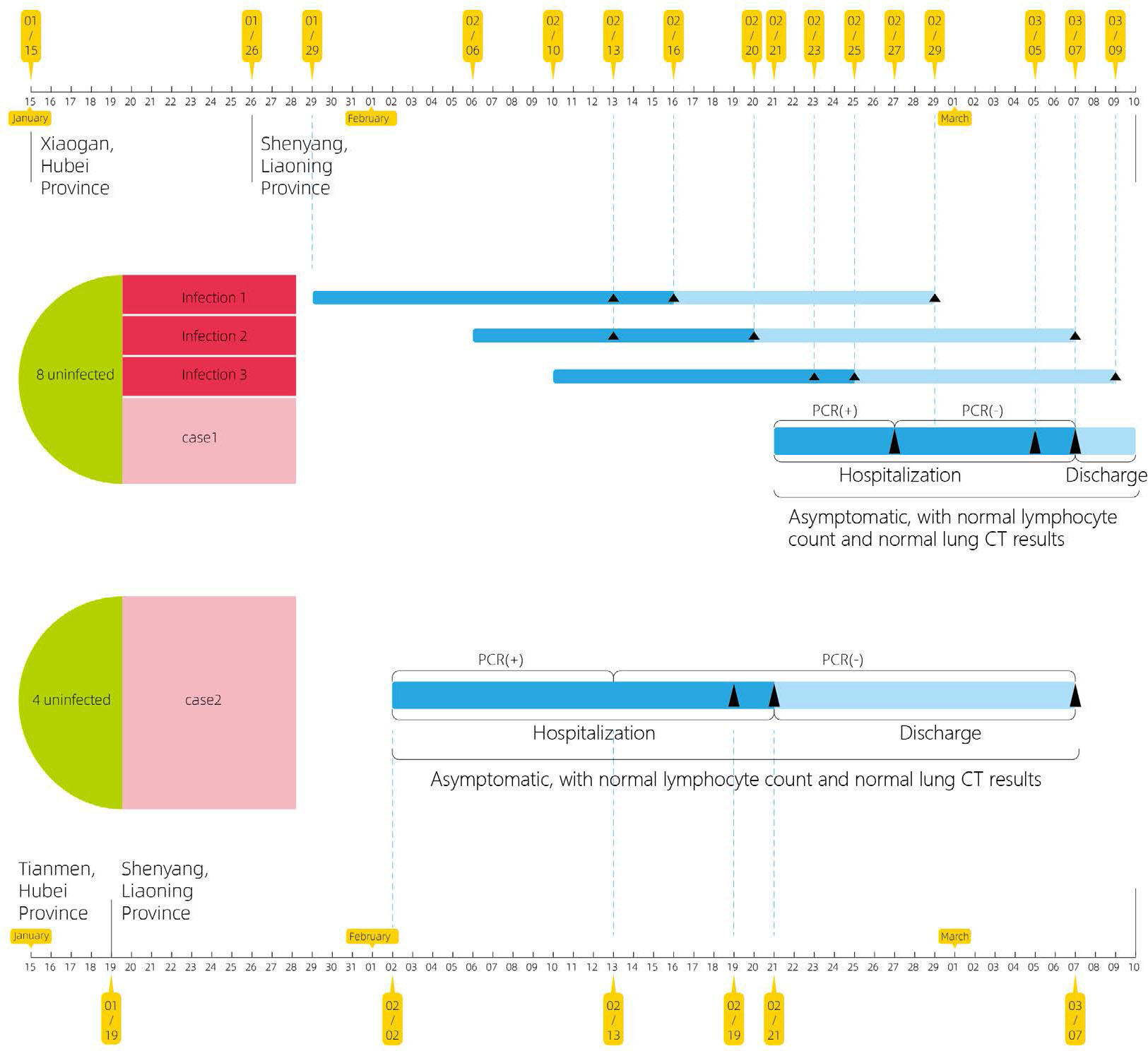 Figure 1 Of the 12 members of the Case 1 family, 8 were uninfected and 4 were infected. Among them, infected patients 1, 2 and 3 had clinical symptoms (fever, cough, sore throat, etc.), lymphocyte count decreased, lung CT scan showed typical ground-glass and patch shadows, and qRT-PCR tests of pharyngeal swabs and sputum specimens revealed positive for SARS-CoV-2. Case 1 was an asymptomatic infection. Throughout the course of the disease, Case 1 had no clinical symptoms, and the lymphocyte count and lung CT scan were also normal. On February 21, Case 1 had tested positive for SARS-CoV-2 by qRT-PCR of pharyngeal swabs, and was hospitalized in isolation. Four of the 5 members of the Case 2 family were uninfected, and only Case 2 was infected and asymptomatic. Throughout the course of the disease, Case 2 had no clinical symptoms; lymphocyte count and lung CT scans were also normal. On February 2, Case 2 had tested positive for SARS-CoV-2 by qRT-PCR of pharyngeal swabs, and was hospitalized in isolation.On that day, qRT-PCR tests were performed on pharyngeal swabs and sputum specimens, and the results were negative for SARS-CoV-2.Blue indicates hospitalizationLight blue indicates discharge.