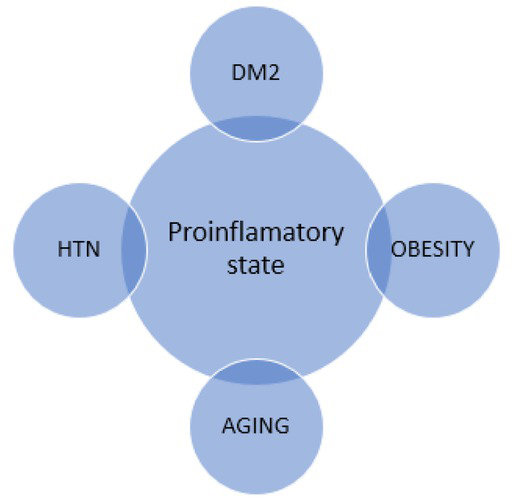 Figure 1 Proinflammatory states that predispose the body to COVID-19 related complications. DM2: type 2 diabetes mellitus; HTN: hypertension.