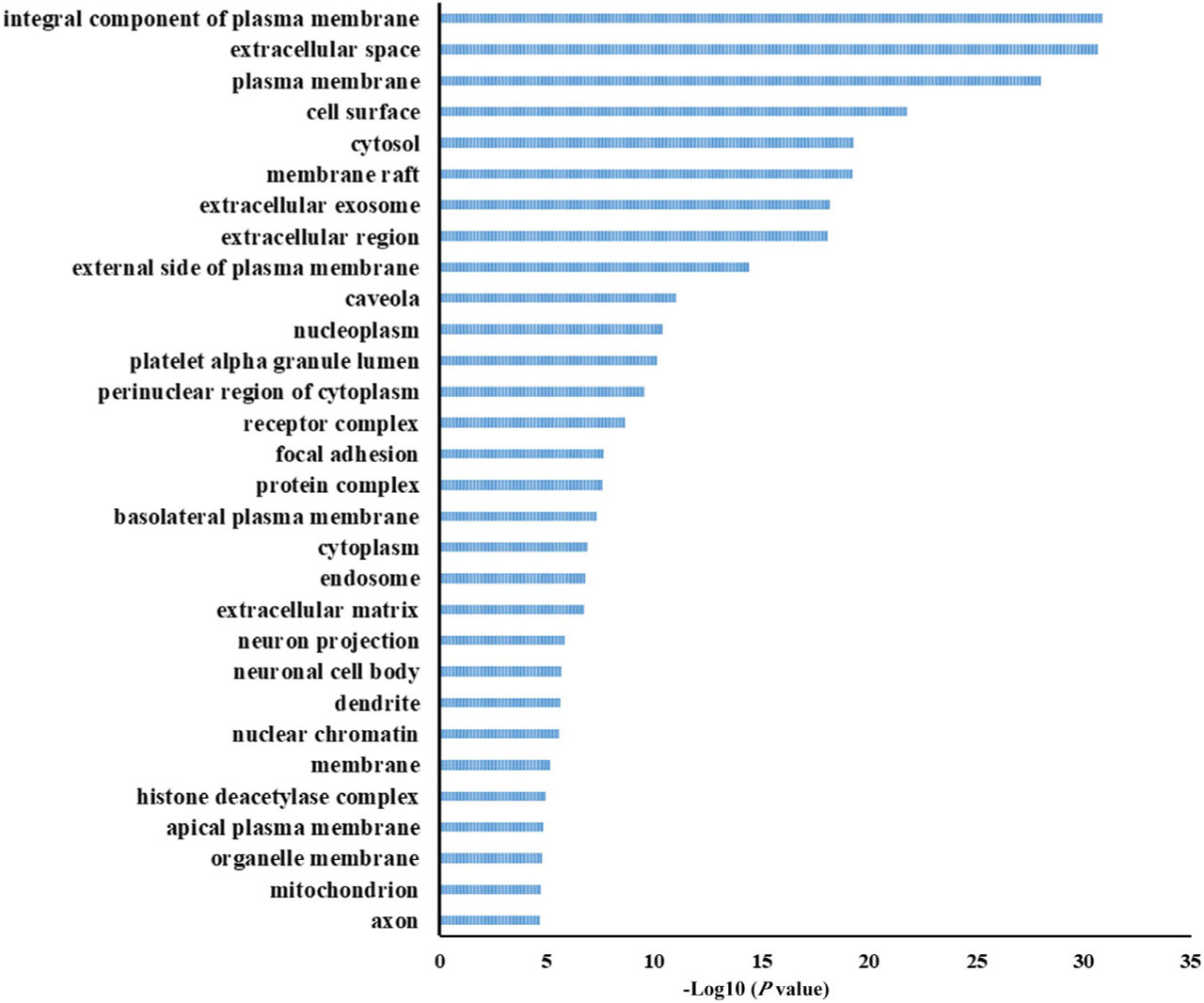Figure 8 GO enrichment of the cell component (CC) of potential targets of the main active ingredients in HZYS. The top 30 terms were shown in this figure. The abscissa is the adjusted P-value, the larger the value, the smaller the P-value.