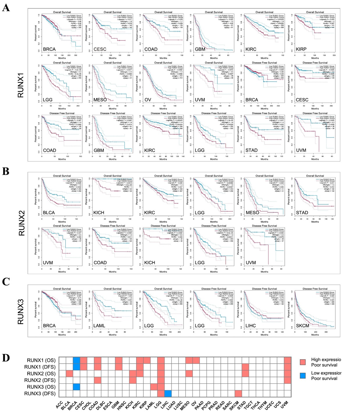 Figure 3 RUNX-associated survival analyses. Positive association of (A) RUNX1, (B) RUNX2, and (C) RUNX3 with OS and DFS. (D) The pan-cancer survival landscape of RUNX genes. OS: overall survival; DFS: disease-free survival; BRCA: breast carcinoma; CESC: cervical squamous cell carcinoma and endocervical adenocarcinoma; COAD: colon adenocarcinoma; GBM: glioblastoma multiforme; KIRC: kidney renal clear cell carcinoma; KIRP: kidney renal papillary cell carcinoma; LGG: lower-grade glioma; UVM: uveal melanoma; BRCA: breast carcinoma; CESC: cervical squamous cell carcinoma and endocervical adenocarcinoma; COAD: colon adenocarcinoma; GBM: glioblastoma multiforme; KIRC: kidney renal clear cell carcinoma; STAD: stomach adenocarcinoma; BLCA: bladder urothelial carcinoma; KICH: kidney chromophobe; SKCM: skin cutaneous melanoma; DLBC: lymphoid neoplasm diffuse large B-cell lymphoma; ESCA: esophageal carcinoma; HNSC: head and neck squamous cell carcinoma; LAML: acute myeloid leukemia; LIHC: liver hepatocellular carcinoma; LUAD: lung adenocarcinoma; LUSC: lung squamous cell carcinoma; PAAD: pancreatic adenocarcinoma; PRAD: prostate adenocarcinoma; TGCT: testicular germ cell tumors; THCA: thyroid carcinoma; THYM: thymoma; UCEC: uterine corpus endometrial carcinoma.