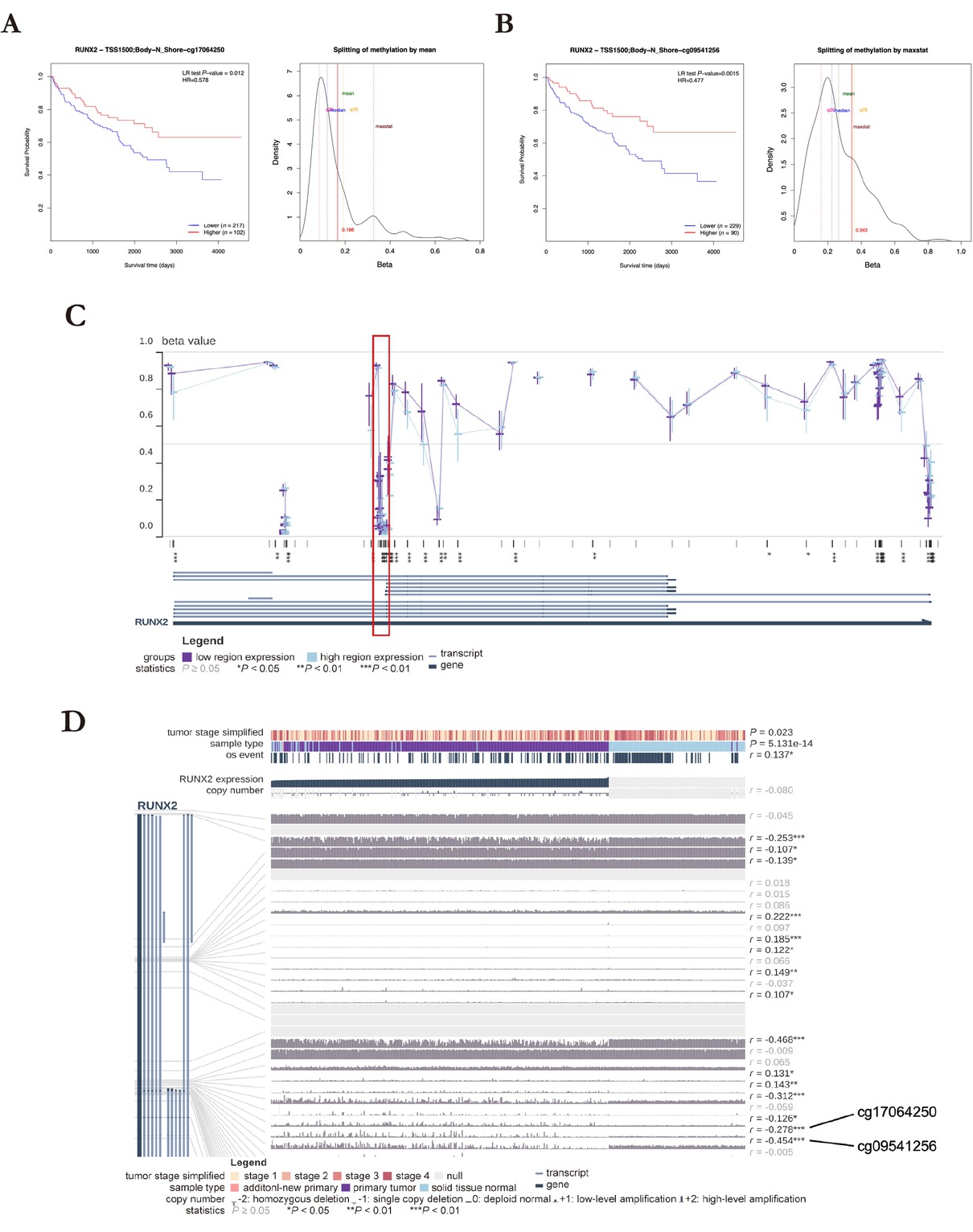 Figure 7 Analysis of the methylation probes, cg17064250 and cg09541256, upstream of the RUNX2 TSS in KIRC. Survival analysis and distribution of the methylation level of the RUNX2 probes, (A) cg17064250 and (B) cg09541256, in KIRC. (C) A schematic representing the relationship between the methylation level of all RUNX2 probes and the expression of RUNX2. The red box marked the methylation level in the upstream of RUNX2 TSS. (D) The upstream probes, cg17064250 and cg09541256, of the RUNX2 partial transcript TSS exhibit a significant negative correlation with RUNX2 expression. *P < 0.05, **P < 0.01, and ***P < 0.001. TSS: transcription start site; KIRC: kidney renal clear cell carcinoma.
