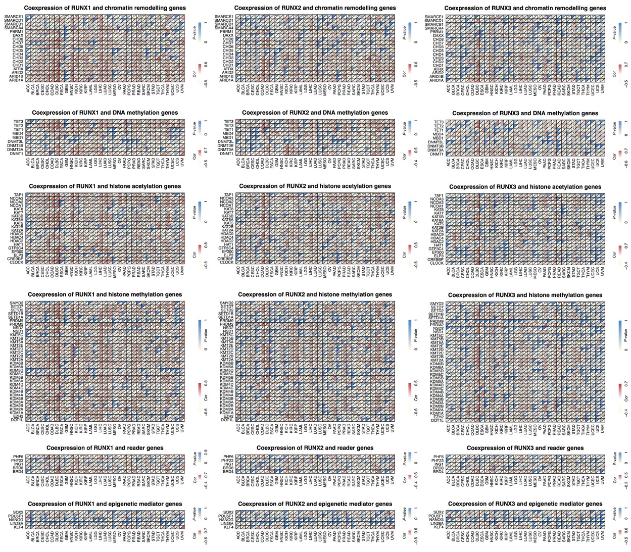 Figure 8 Co-expression of RUNX genes and epigenetic regulators. *P < 0.05, **P < 0.01, and ***P < 0.001. BLCA: bladder urothelial carcinoma; BRCA: breast carcinoma; CESC: cervical squamous cell carcinoma and endocervical adenocarcinoma; COAD: colon adenocarcinoma; DLBC: lymphoid neoplasm diffuse large B-cell lymphoma; ESCA: esophageal carcinoma; GBM: glioblastoma multiforme; HNSC: head and neck squamous cell carcinoma; KICH: kidney chromophobe; KIRC: kidney renal clear cell carcinoma; KIRP: kidney renal papillary cell carcinoma; LAML: acute myeloid leukemia; LGG: lower-grade glioma; LIHC: liver hepatocellular carcinoma; LUAD: lung adenocarcinoma; LUSC: lung squamous cell carcinoma; PAAD: pancreatic adenocarcinoma; PRAD: prostate adenocarcinoma; SKCM: skin cutaneous melanoma; STAD: stomach adenocarcinoma; TGCT: testicular germ cell tumors; THCA: thyroid carcinoma; THYM: thymoma; UCEC: uterine corpus endometrial carcinoma; UVM: uveal melanoma; CHOL: cholangiocarcinoma; MESO: mesothelioma; OV: ovarian serous cystadenocarcinoma; PCPG: pheochromocytoma and paraganglioma; READ: rectum adenocarcinoma; SARC: sarcoma; UCS: uterine carcinosarcoma.