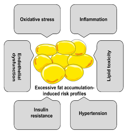 Figure 2 Cardiometabolic risk in obese youth.