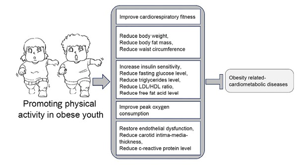 Figure 3 The protective effects of physical activity against childhood cardiometabolic diseases caused by pediatric obesity. HDL: high-density lipoprotein; LDL: low-density lipoprotein.