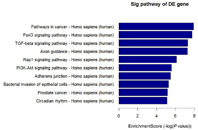 Figure 4 Top 10 significantly enriched pathways of target genes ranked by P value. The target genes of differentially expressed miRNAs were predicted by at least two out of three algorithms. KEGG pathway analysis was based on these genes.