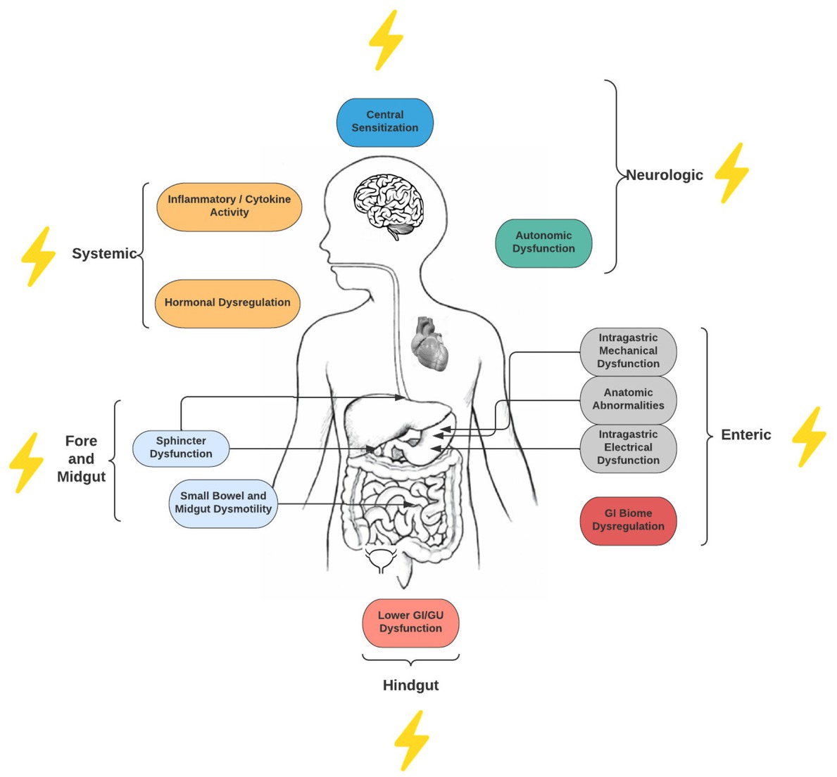 Figure 1 Some of the known pathophysiologic areas for gastroparesis syndromes as well as possible mechanisms of action/effects of GES as noted with the symbol. Adapted from Management of Gastroparesis in 2022.[10] GI: gastrointestinal; GES: gastric electrical stimulation; GU: genitourinary.