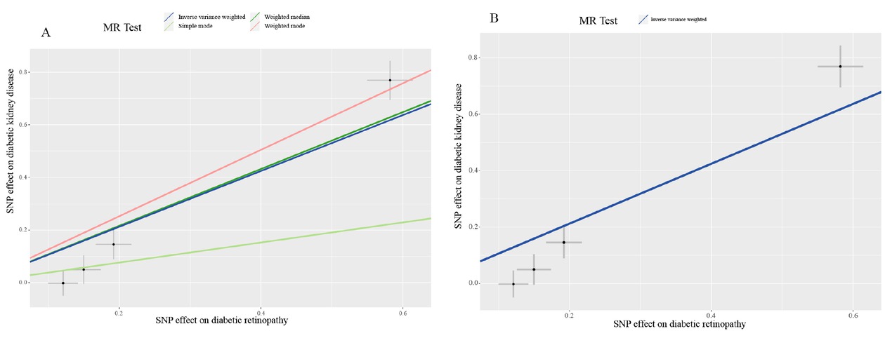 Figure 3 Mendelian randomization scatterplot for diabetic retinopathy on diabetic kidney disease analysis. The dark blue line shows the result of inverse variance weighting model (A and B) and the dark green line, light green line, and light red line show the results of weighted median model, simple model, and weighted model, respectively.