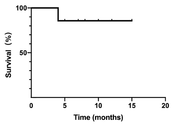 Figure 1 The survival curve of the patients (n = 14).
