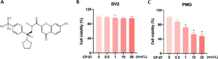 Figure 1 
Cellular toxicity of CP-07 on BV2 cells and primary microglia. (A) Chemical structure of N-(2-[4-tert-butylphenyl]-2-[pyrrolidine-1-yl] ethyl)-7-methyl-4-oxo-4H-chromene-2-carboxamide (CP-07). (B) The viability of BV2 and primary mouse microglia after treated with various concentrations of CP-07 for 24 h was evaluated using cell counting kit-8 (CCK-8) assays. Values are presented as mean ± SEM in each group of four to six independent experimental procedures. *P < 0.001 versus 0 μmol/L group. PMG: primary mouse microglia.
