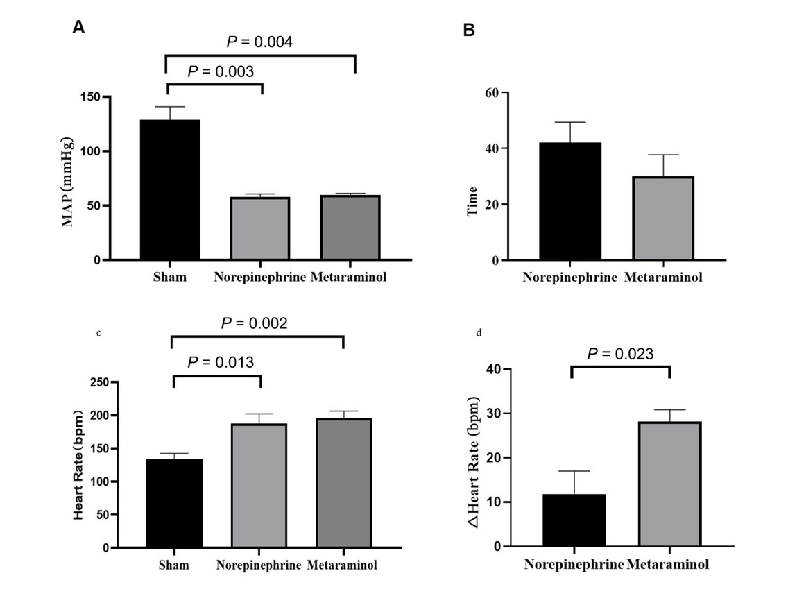 Figure 3 MAP and heart rate in the three groups. A. Comparison of map while in shock in two treatment groups with shams. B. Time to reach MAP ≥ 65 mmHg after shock. C. Comparison of heart rate in shock. D. Changes in heart rate from shock to 3 h after treatment. MAP: mean arterial pressure.