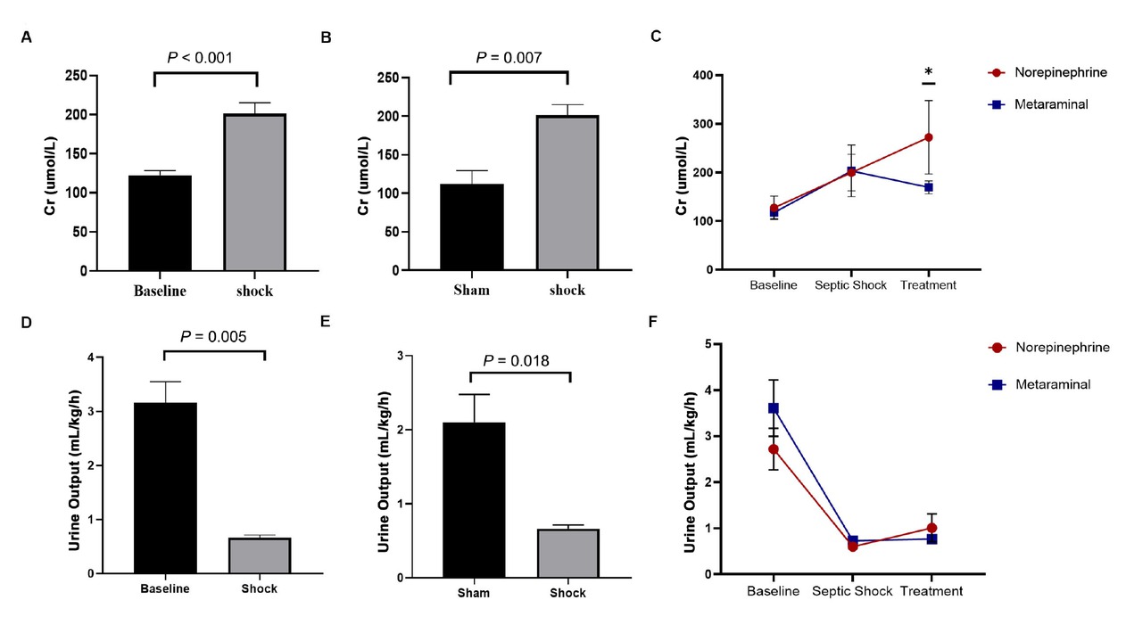 Figure 5 Expression of serum Cr and by shock and treatment. A. Comparison of Cr between shock and baseline. B. Comparison of Cr between in sepsis animals and shams. C. The dynamic change over time of creatinine. D. Comparison of the values of urine output between shock and baseline. E. Comparison of the values of urine output in sepsis animals and shams. F. The dynamic change over time of urine output. Cr, creatinine.
