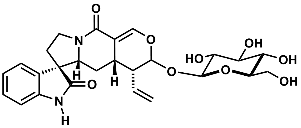  Spiroalkaloids and Coumarins from the Stem Bark of Pauridiantha callicarpoides