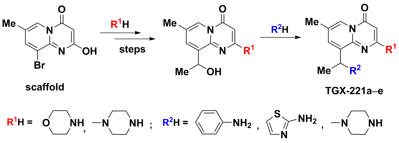 Synthesis of New TGX-221 Analogs
