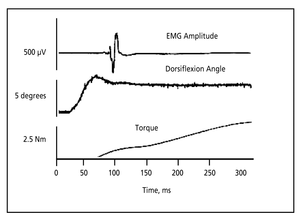 Figure 1.
Sample electromyogram (EMG) (top) and torque (bottom) responses of a subject's soleus muscle to a single rapidly imposed dorsiflexion of 5 degrees (middle). The initial elevation of torque results from passive stretch. The subsequent rise represents the muscle contraction resulting from the action potential seen in the EMG response.