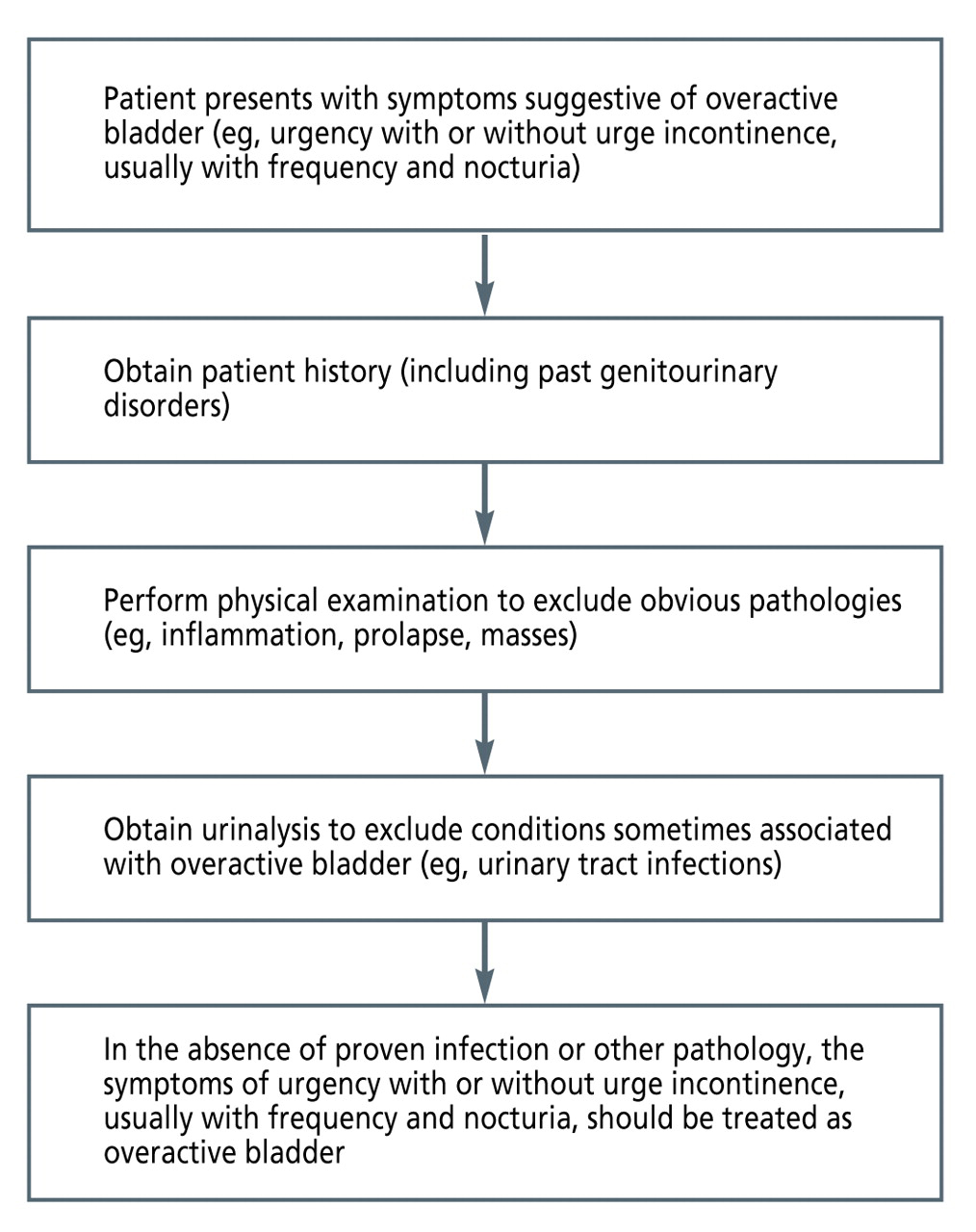 Figure 1.
Algorithm to assist physicians in diagnosing patients with overactive bladder.