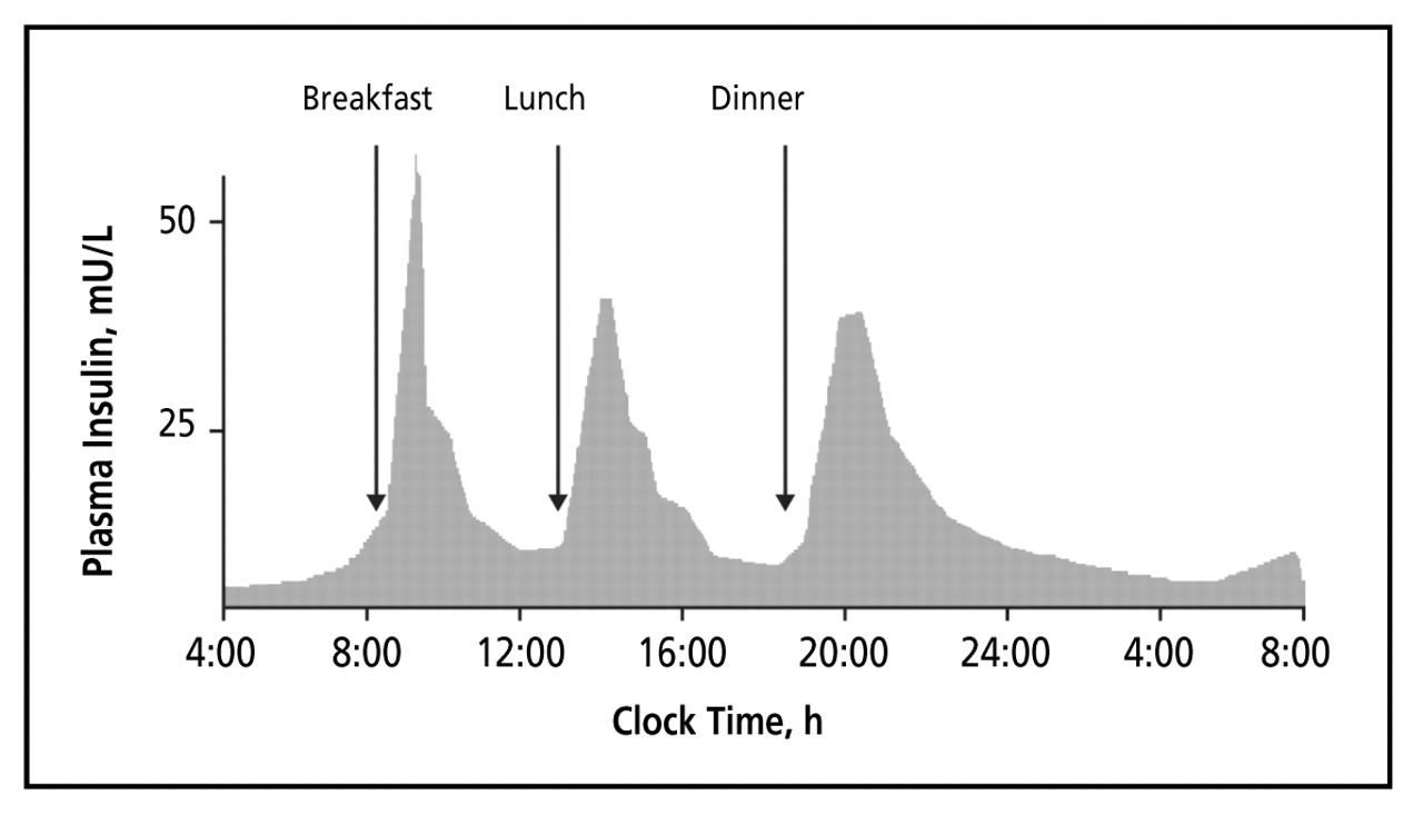 Figure 1.
Physiologic insulin secretion of a healthy pancreas. Source:
This figure was published in Current Paediatrics, Vol 16, Thompson R, Christie D, Hindmarsh PC, The role for insulin analogs in diabetes care, pages 117-122, Copyright Elsevier 2006.20Reproduced with permission.