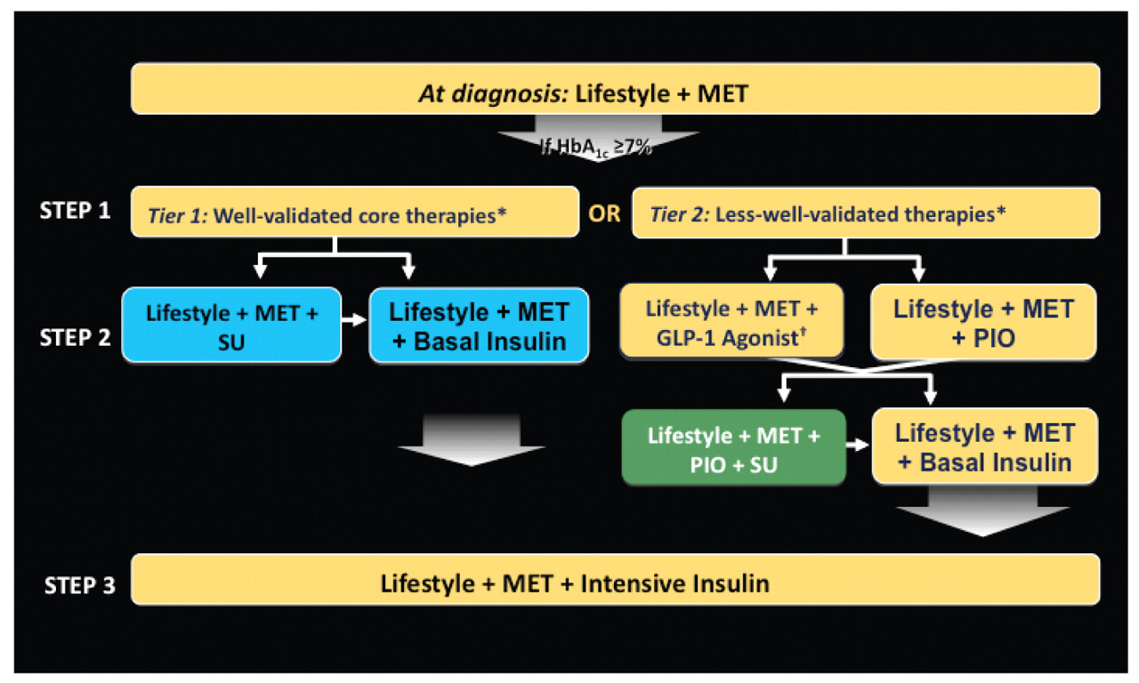 Figure 1. 
            
              American Diabetes Association consensus statement for the management of type 2 diabetes mellitus. *Validation based on clinical trials and clinical judgment. †If hypoglycemia is particularly undesirable or promotion of weight loss is a consideration. Abbreviations: HbA1c, glycated hemoglobin; MET, metformin; PIO, pioglitazone; SU, sulfonylurea. Source: Adapted from Nathan DM et al. Diabetes Care. 2008;31(1):173-175.