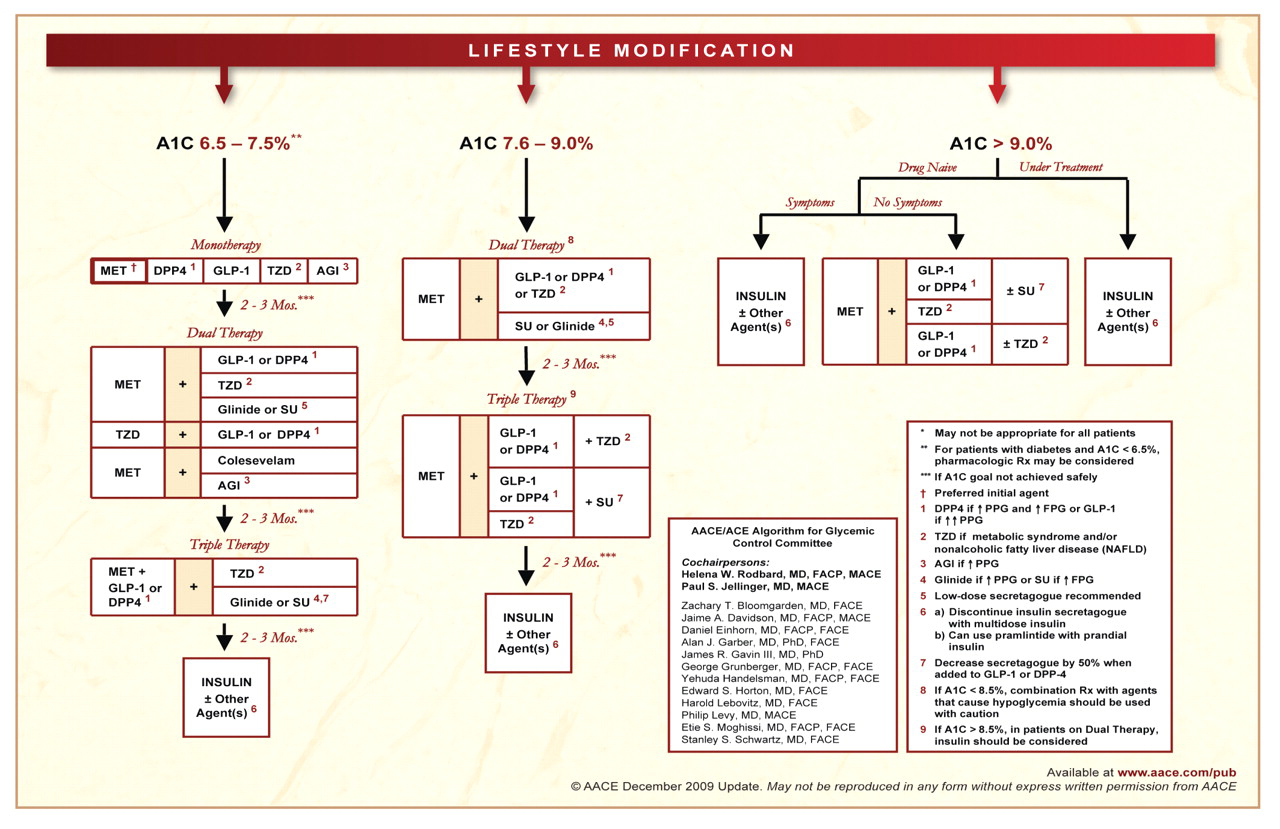   Figure 2. 
            
              American College of Endocrinology and the American Association of Clinical Endocrinologists diabetes algorithm for glycemic control. *For patients with diabetes and glycated hemoglobin (A1C) less than 6.5%, pharmacologic prescription may be considered. †If glycated hemoglobin goal is not achieved safely. Abbreviations: AGI, α-glucosidase inhibitors; DPP-4, dipeptidyl peptidase-4; GLP-1, glucagon-like peptide-1; MET, metformin; SU, sulfonylurea; TZD, thiazolidinedione. Source: Rodbard HW, Jellinger PS, Davidson JA, Einhorn D, Garber AJ, Grunberger G, et al. Statement by an American Association of Clinical Endocrinologists/American College of Endocrinology consensus panel on type 2 diabetes mellitus: an algorithm for glycemic control [published correction appears in Endocr Pract. 2009;15(7):768-770]. Endocr Pract. 2009;15(6):540-559.
          