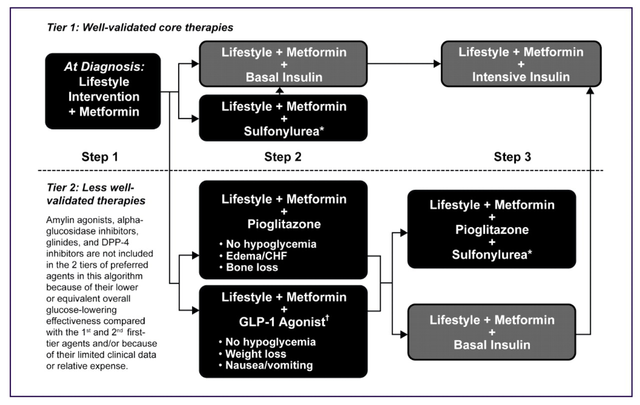 Figure 1.   
          
            The American Diabetes Association/European Association for the Study of Diabetes 2009 consensus algorithm for the management of hyperglycemia in patients with type 2 diabetes mellitus. *Excludes glyburide and chlopropamide. †Insufficient clinical use to be confident regarding safety. Abbreviations: CHF, congestive heart failure; DPP-4, dipeptidyl peptidase-4; GLP-1, glucagon-like peptide-1. Reprinted with permission from Nathan et al.
            
              
                3
              
            
            Copyright 2009 American Diabetes Association. From Diabetes, Vol. 32, 2009; 193-203. Reproduced by permission of the American Diabetes Association.
        