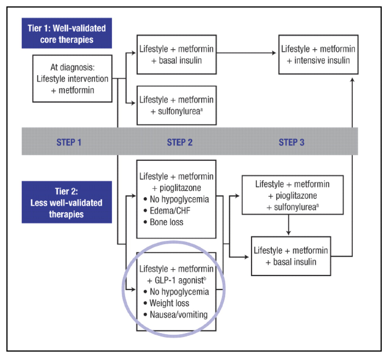 Figure 1.
The American Diabetes Association treatment algorithm for patients with type 2 diabetes mellitus, with the goal of achieving and maintaining a glycosylated hemoglobin level of less than 7%.
a
Excludes glyburide or chlorpropamide.
b
Insufficient clinical use to be confident regarding safety. Reprinted with permission from the American Diabetes Association, Nathan et al.
31
Abbreviations: CHF, congestive heart failure; GLP-1, glucagon-like peptide-1.