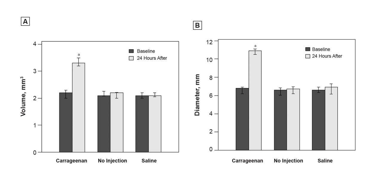 Figure 3.
Effect of saline injection, no injection, and carrageenan injection on hindlimb swelling as measured by (A) plethysmometry and (B) calipers. Rats were injected with saline (n=11), not injected (n=11), or injected with 3% carrageenan (n=10). Data are shown as median with 25th and 75th percentiles. aP<.01, Wilcoxon signed rank test.