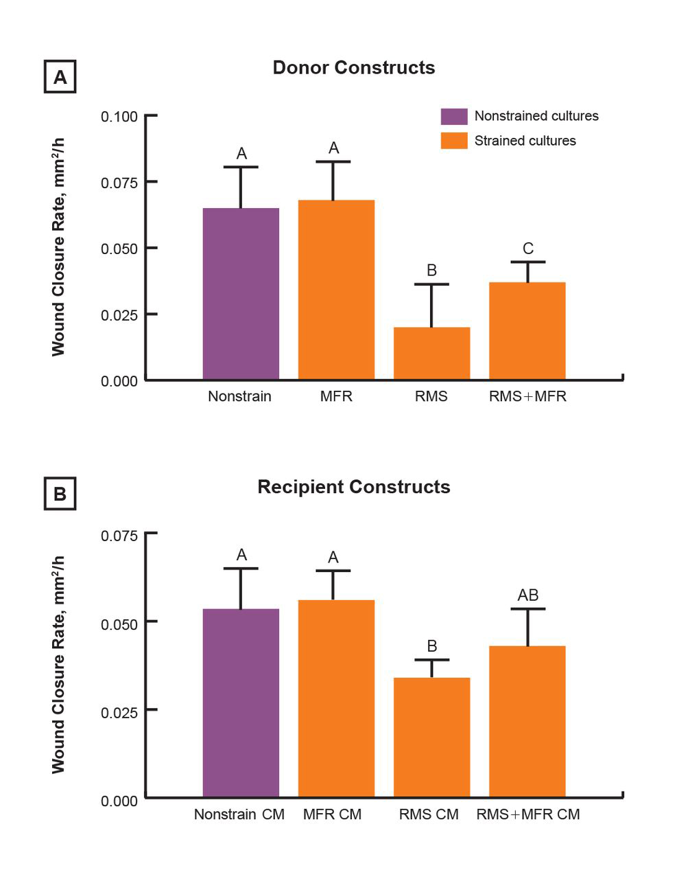 Figure 3. 
            (A) Fibroblast wound closure rates in donor constructs in response to modeled strain paradigms (n=12 to 15). (B) Nonstrained fibroblast recipient constructs were treated with conditioned media (CM) from previously strained (repetitive motion strain [RMS], myofascial release [MFR], and RMS+MFR) and nonstrained fibroblast cultures and assessed for wound closure rates (n=4). Bars labeled with different letters indicate a significant difference between the groups (P<.05): bar B indicates significant decrease in wound healing rates compared with bar A (nonstrain and MFR) and bar C (RMS+MFR). Bar C indicates a significant decrease in wound healing rates compared with bar A (nonstrain and MFR).
          