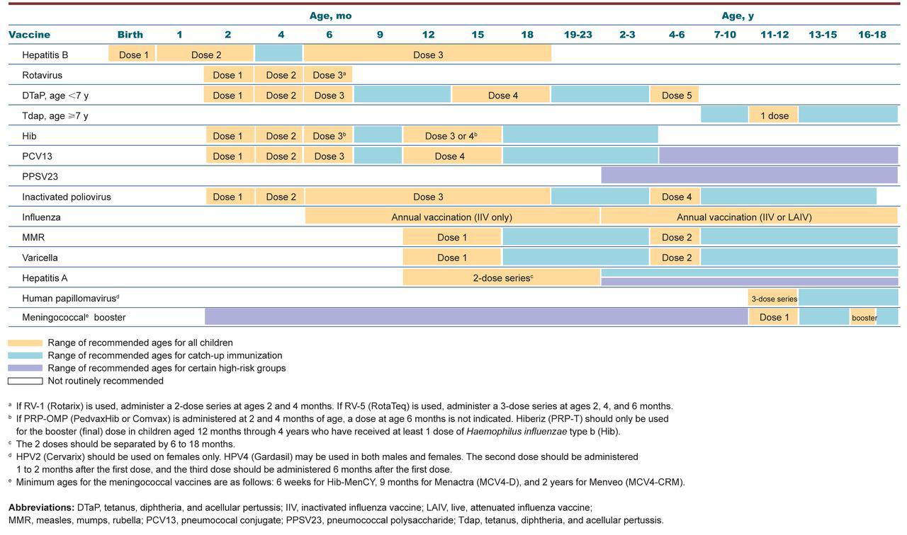 Figure 2. 
        Recommended immunization schedule for persons aged 0 to 18 years. Adapted from the Advisory Committee on Immunization Practices' recommended immunization schedule for persons aged 0 through 18 years—United States, 2013.1