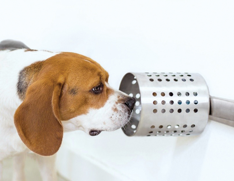 Figure 1.
           
            The blood serum samples were placed in metal canisters with multiple perforations and positioned at the dog's eye level.