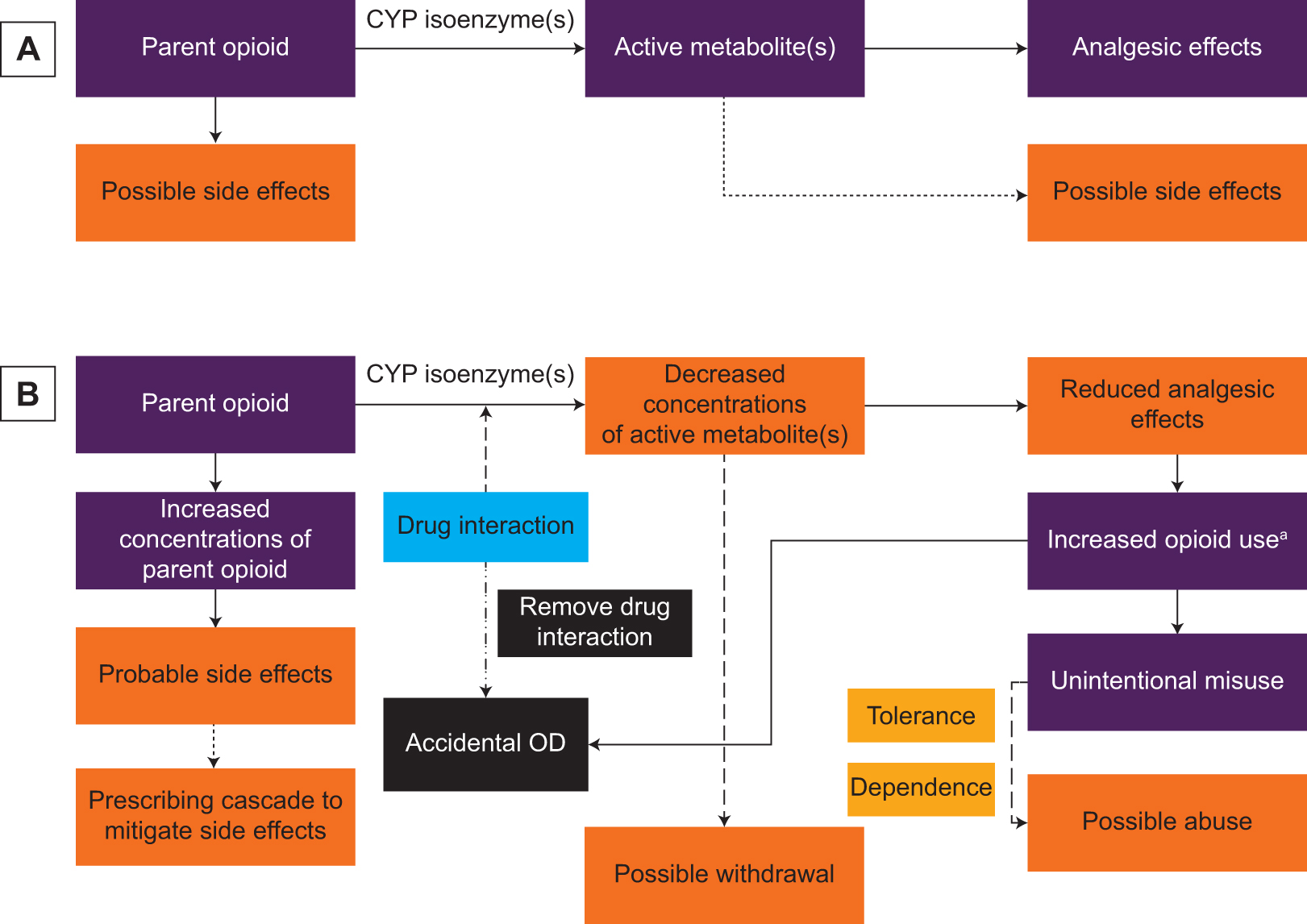 Figure 2.
Consequences of opioid-involved drug interactions. (A) Expected responses in the absence of a drug interaction. (B) Predicted responses in the presence of a drug interaction. Abbreviations: CYP, cytochrome P450 system; OD, overdose. aPatient takes more opioid than prescribed and/or health care professional prescribes higher opioid doses to try and overcome the reduced analgesic effects.